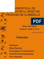 Klebsiella Botar Ana Maria