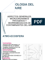 MICROBIOLOGIA-DEL-AIRE.ppt.pptx