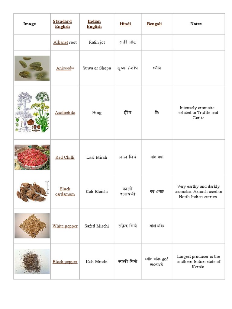 List of Indian Spices Wiki PDF Coriander Turmeric