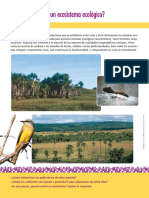 Sistema Ecológico PDF