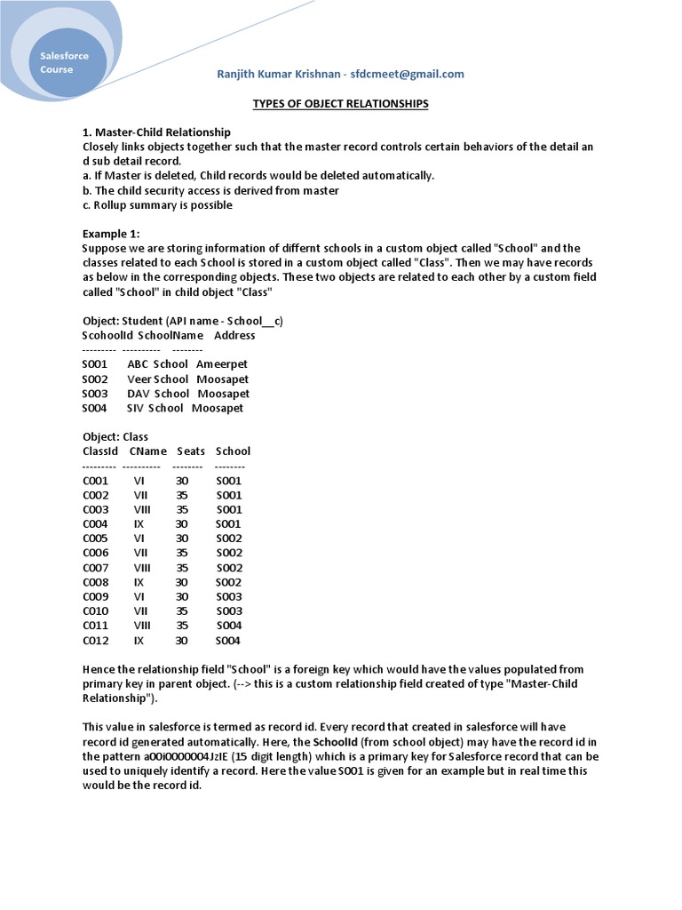 Salesforce Object Relationships Explained | PDF | Information ...