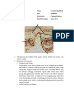 Uts Geologi Struktur