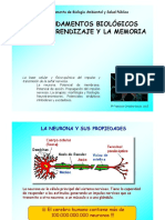 3-LA NEURONA.pdf