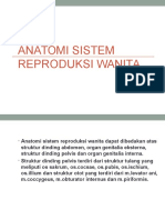 Anatomi Reproduksi Wanita 