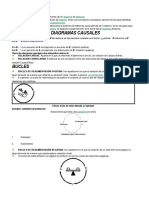 Diagramas Causales