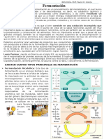 FICHA Fermentación - 4to Sec.doc