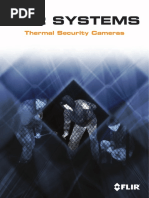 Carnival Game Attendant