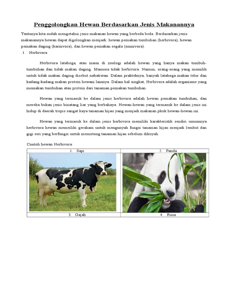 54 Gambar Hewan Pemakan Tumbuhan Herbivora Terbaru
