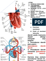 Anatomi Kardiovaskuler