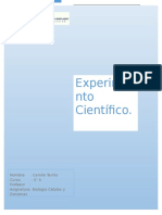 Experimento Científico