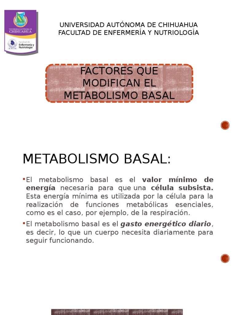 Metabolismo