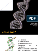 Ácidos Nucléicos asdasdasd