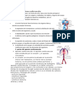 Funciones del Sistema Cardiovascular