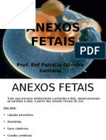 ANEXOS FETAIS