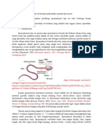 Dasar Teori Praktikum Sel Telur