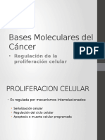 Bases Moleculares Cancer