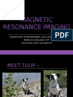 mri ppt