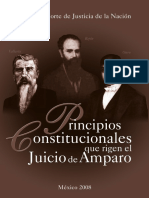 PRINCIPIOS CONSTITUCIONALES QUE RIGEN EL JUICIO DE AMPAR0.pdf