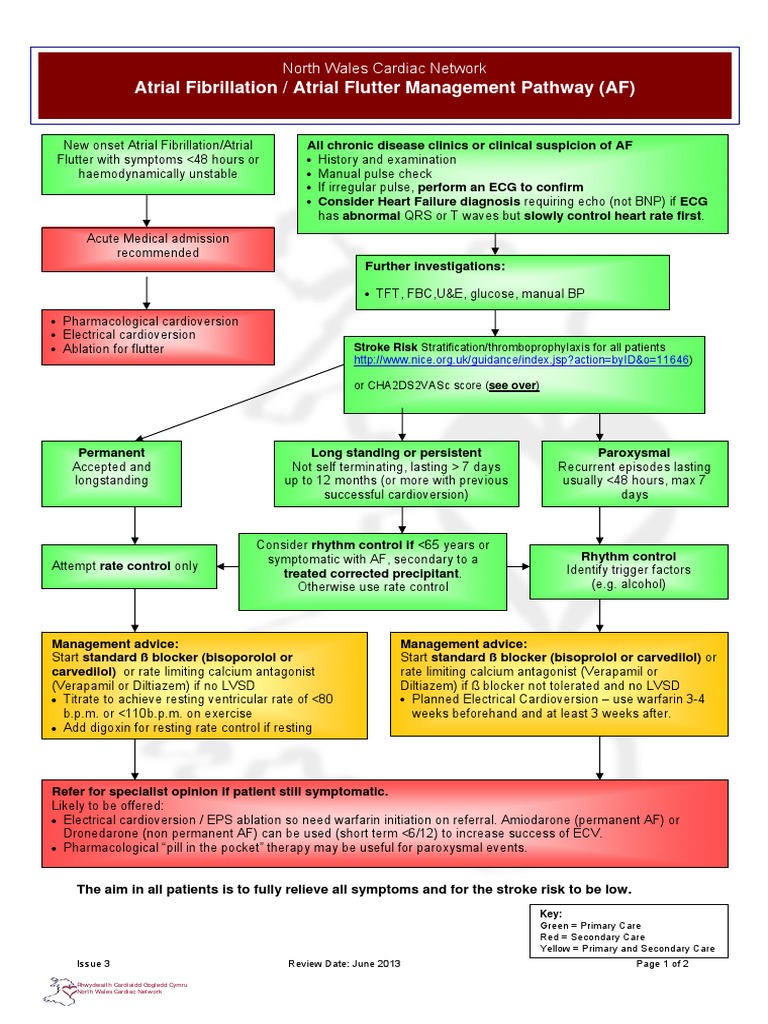Final NWCN AF Guidelines (Issue 3 - Jun2011) | PDF | Stroke ...