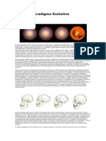 El Nuevo Paradigma Evolutivo