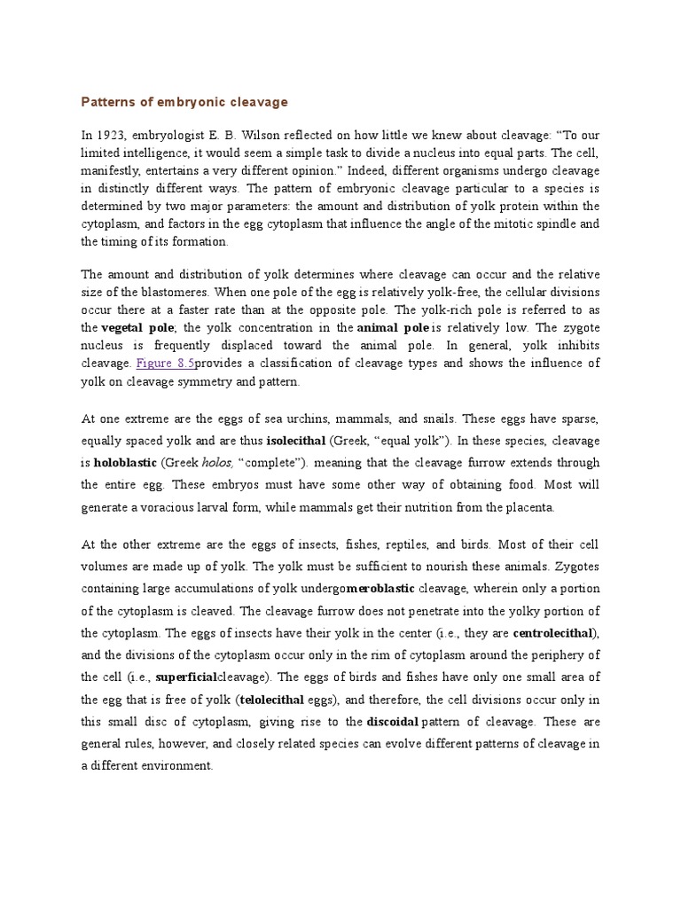 Patterns of Embryonic Cleavage Egg Developmental Biology