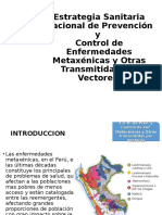 Estrategia Sanitaria Nacional de Prevencion Enf Metaxenicasy