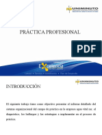 04 Plantalla Info Sustetacion Prac Profesional Admon