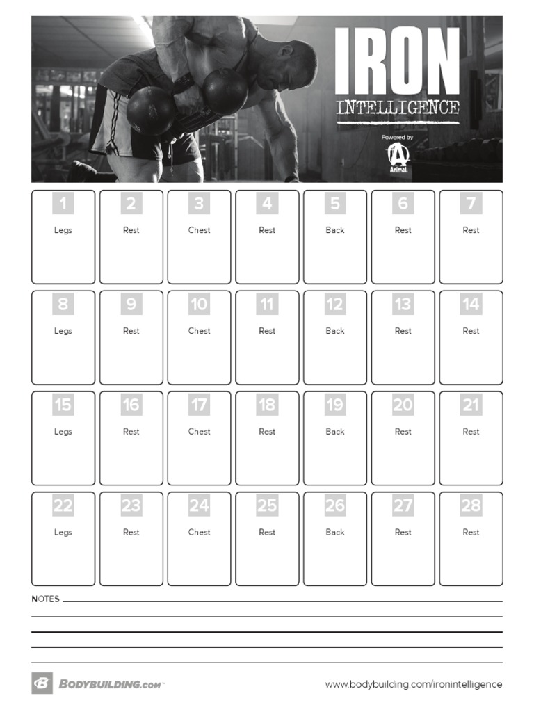 12-Week Bodybuilding Workout Plan | PDF | Sports & Recreation