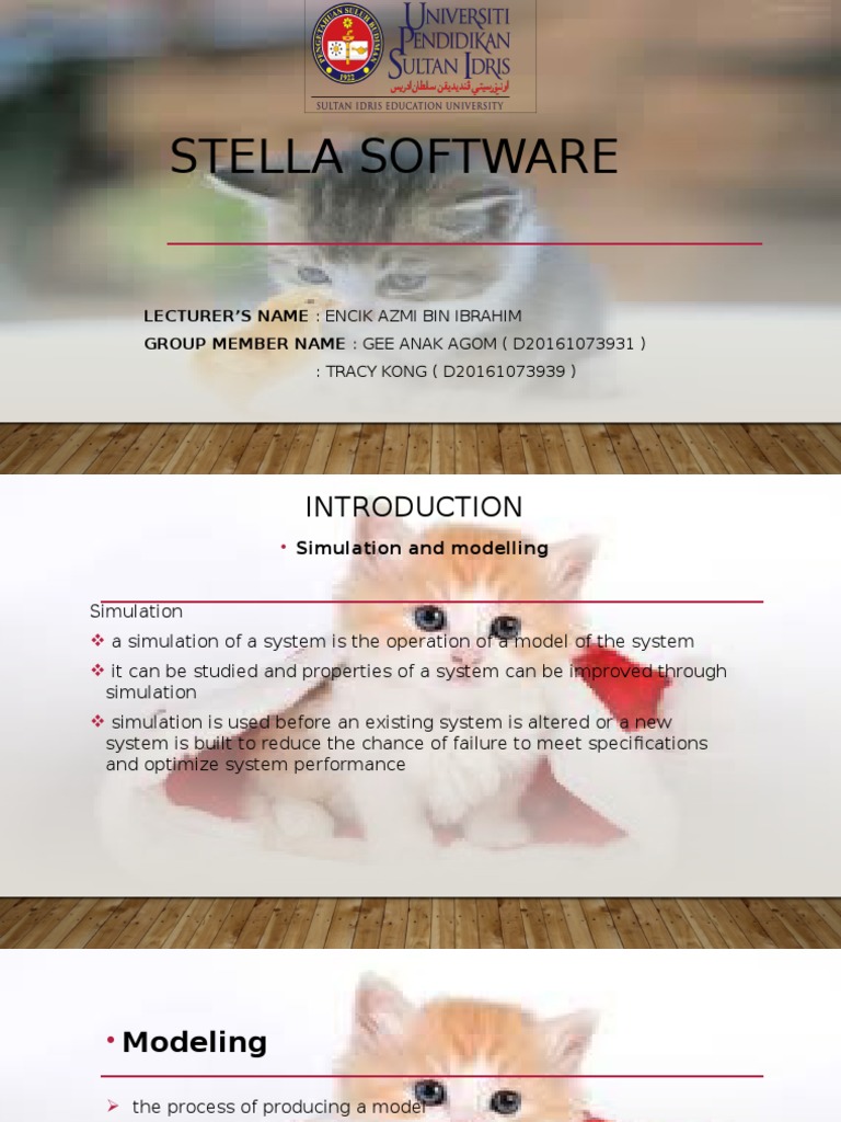 Stella Software | Simulation | Experiment