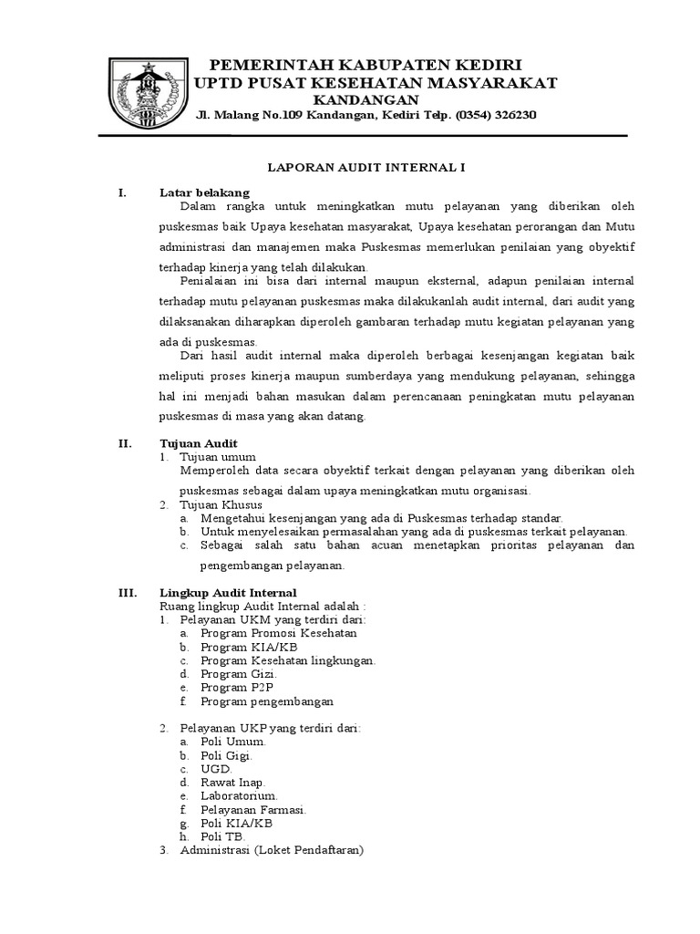 Laporan Audit Internal Puskesmas Ilmusosial Id