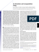 Unilamellar Vesicle Formation and Encapsulation