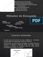 Exposicion de Metodos de Busqueda Negra