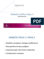 DM1 diabetis mellitus 1