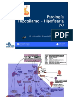 Hipófisis 2010.5