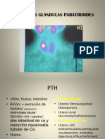 cir+endoc+pt.ppt97-2003