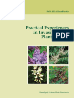 Practical Experiences PDF