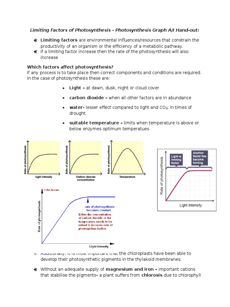 Limiting factors of photosynthesis graphs image