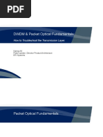 DWDM & Packet Optical Fundamentals