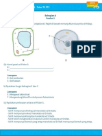 kertas-model-sc-1.pdf
