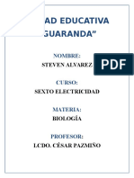 Animales Del Ecuador en Peligro de Extinción