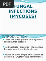 Superficial Mycosis