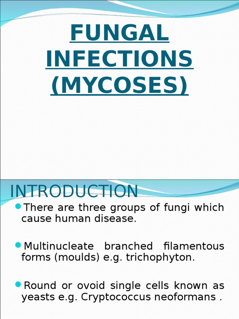 Superficial Mycosis PDF Animal Diseases Immunology