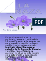 Poder Curativo de La Linaza