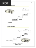 Apostila TÉCNICA VOCAL 