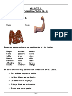 Apunte-1 Grupos Consonantico BR BL Nb1lyc1-8 2 PDF