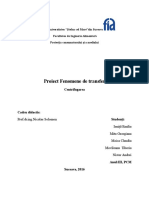 Proiect Fenomene de Transfer