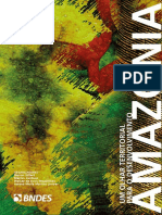 Amazônia - Olhar Territorial Para o Desenvolvimento