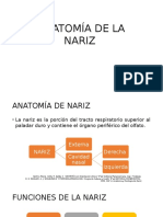 Anatomía de La Nariz