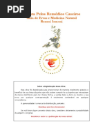 A Cura Pelos Remédios Caseiros_Raunei Iamoni.pdf