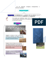 A Cuadro Sinóptico de Las Relaciones Ecológicas Intraespecificas e Interespecificas, Definiciones y Ejemplos